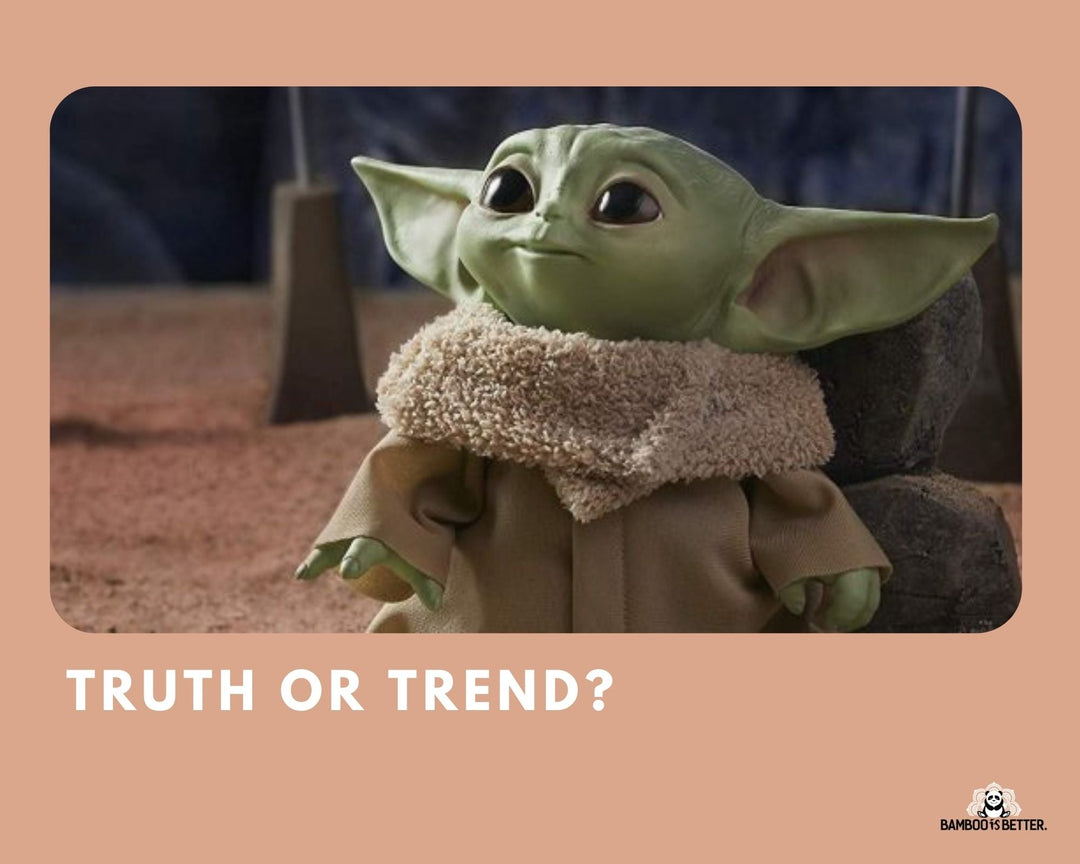 Truth or Trend: Is bamboo the way to live sustainably?