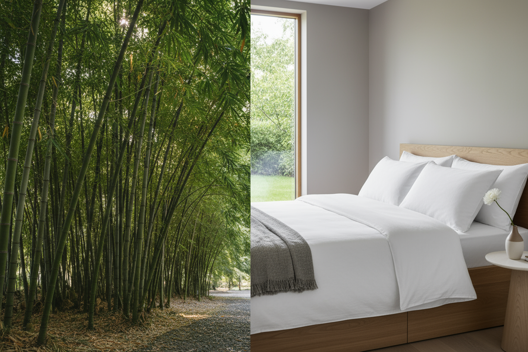 From Harvest to Bed — The Sustainable Journey of Bamboo Bedding